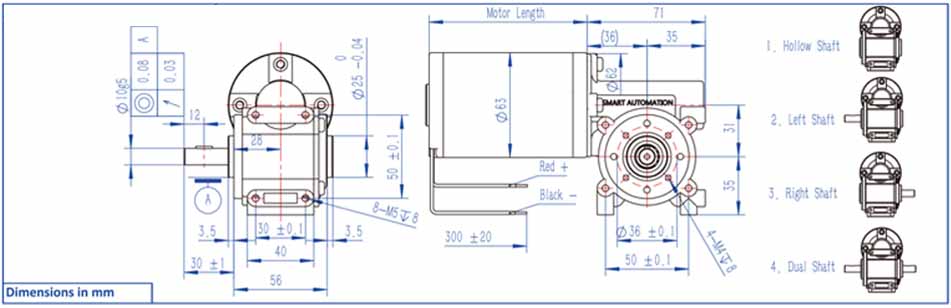 63 ZYT Brushed DC Motor with Worm Gearbox